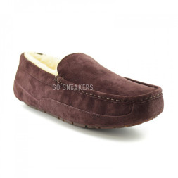 Men's Ascot Chocolate